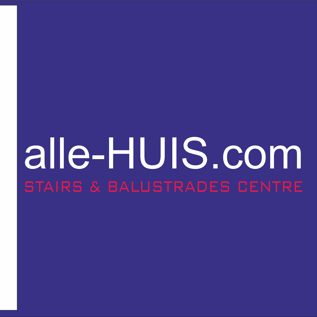 social media w holandii